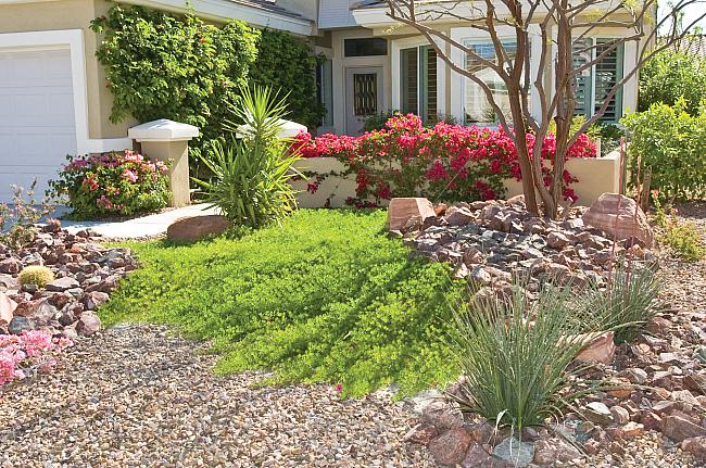 17. Convert Your Front Lawn to Water-efficient Landscaping